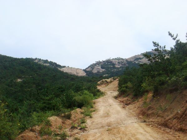 nEO_IMG_DSC04995.jpg