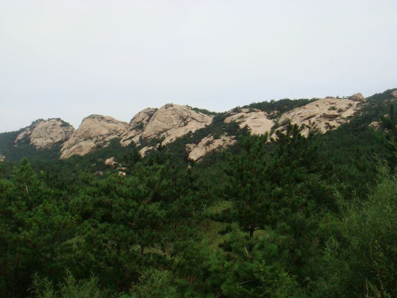 DSC04994.JPG
