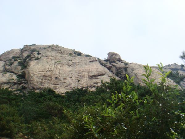 nEO_IMG_DSC04998.jpg