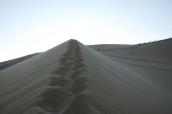 _MG_6305.jpg