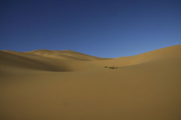 _MG_6651.jpg
