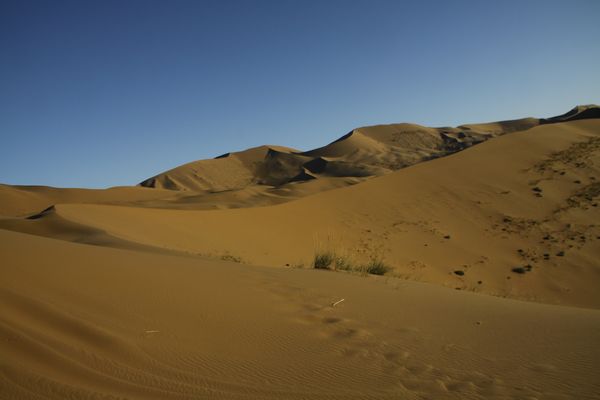 _MG_6379.jpg