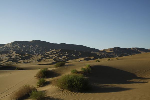 _MG_6386.jpg
