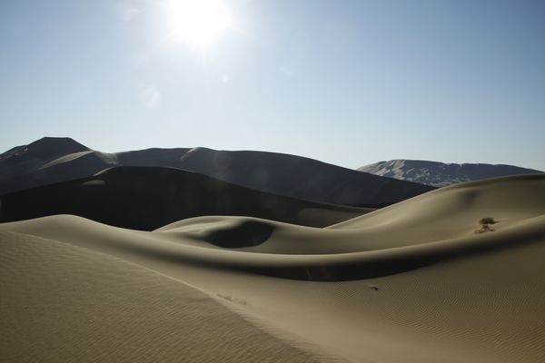 _MG_6628.jpg