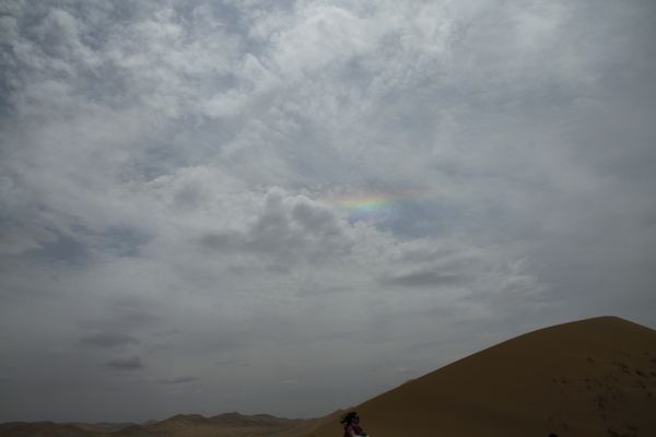 _MG_2206.jpg