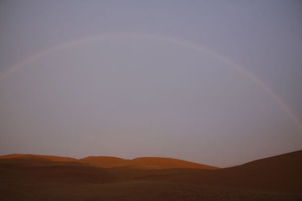 _MG_6056.jpg