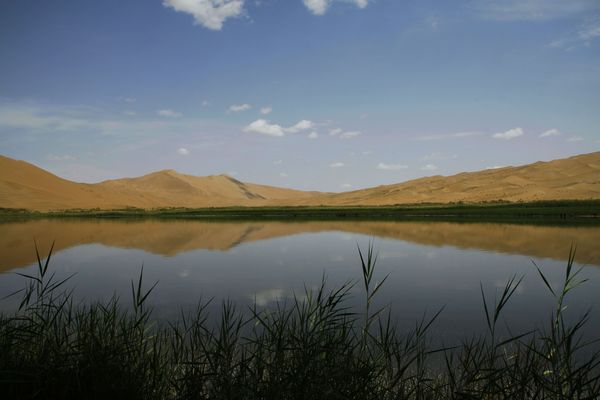 _MG_2030.jpg