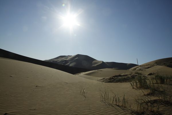 _MG_6617.jpg