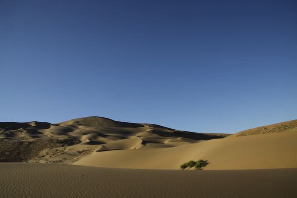 _MG_6598.jpg