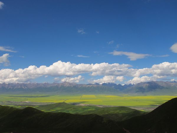IMG_3536.jpg