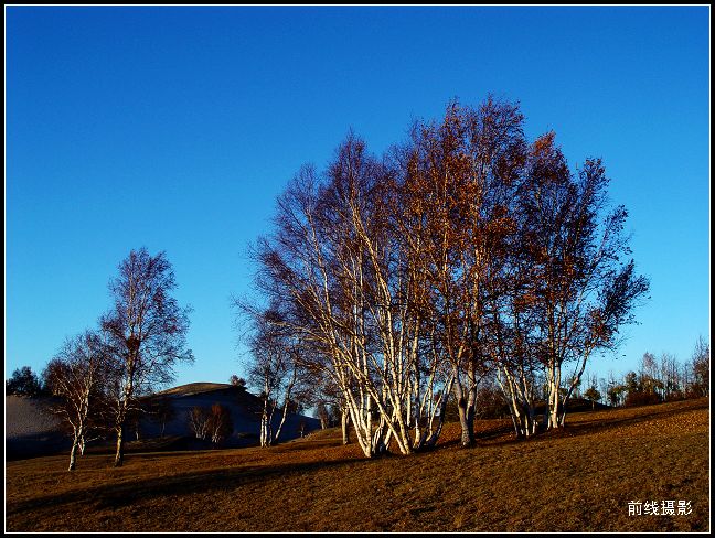 DSC00797-2.jpg