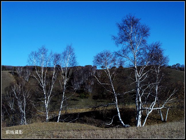 DSC00777-2.jpg