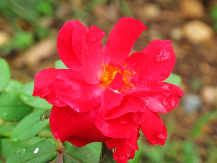 nEO_IMG_2011-8-28徒步 007.jpg