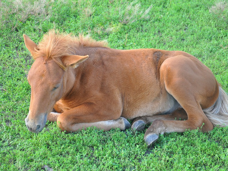 PhotoCap_357.jpg