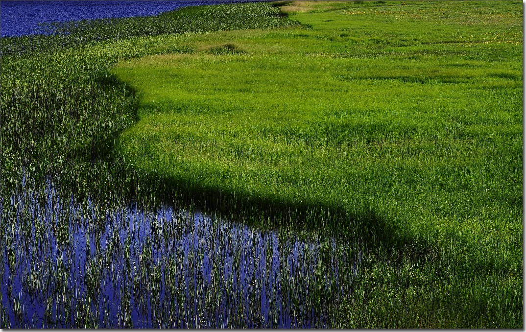 普达措森林公园 (148).jpg