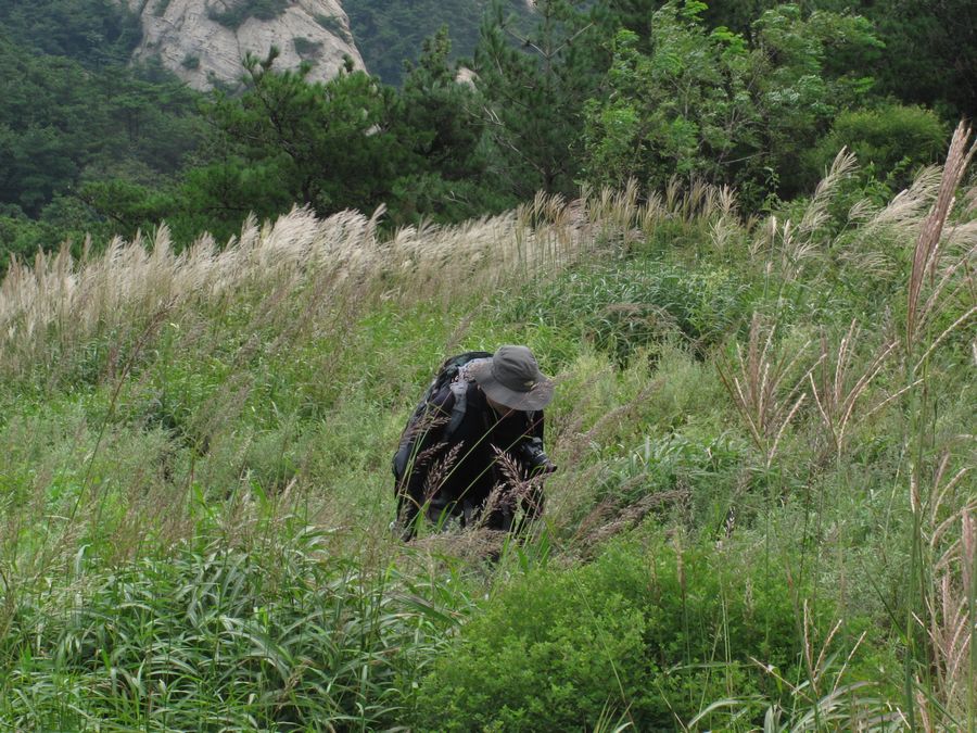 IMG_1125.jpg