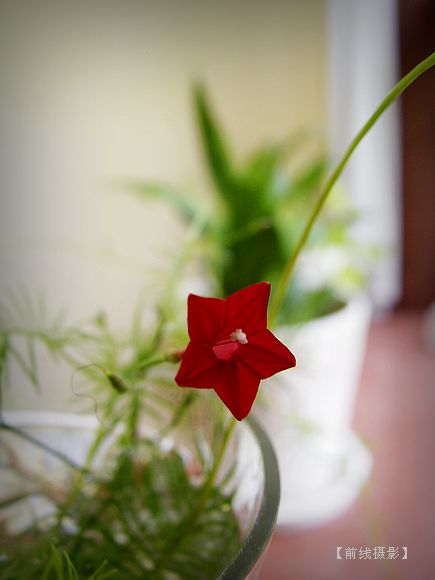 DSC09722-1.jpg