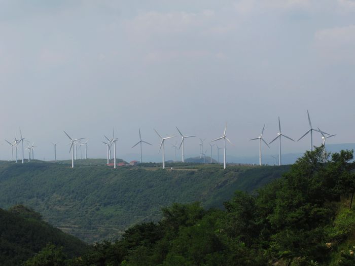 nEO_IMG_2011-9-10牙山 049.jpg