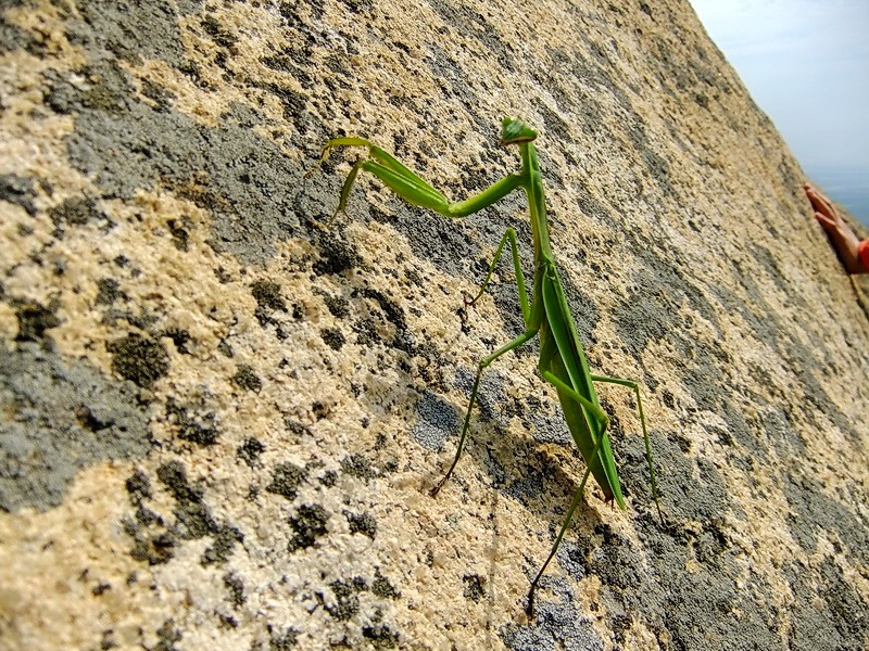 DSCF4345.jpg