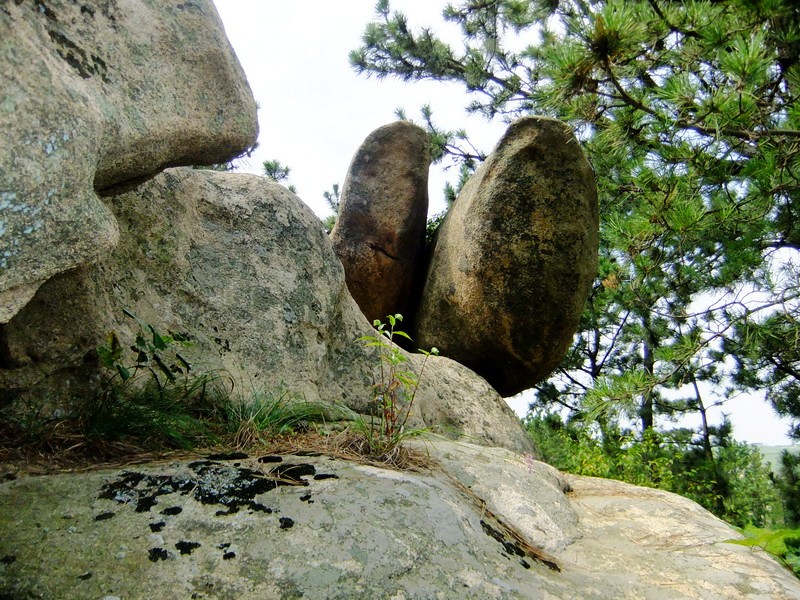 DSCF4375.jpg