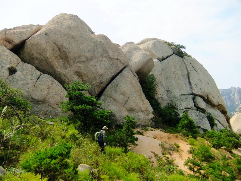 DSCF4370.jpg