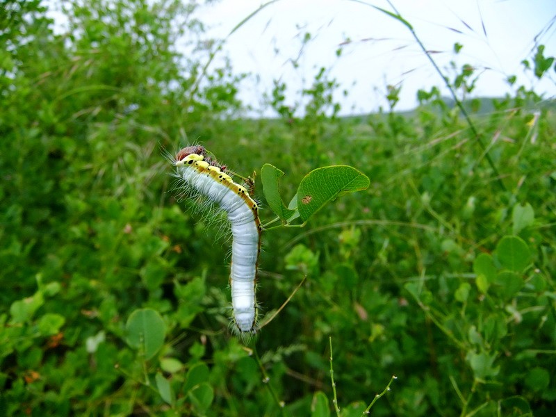 DSCF4376.jpg