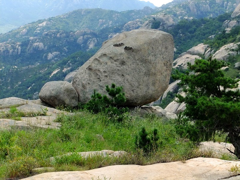 DSCF4382.jpg
