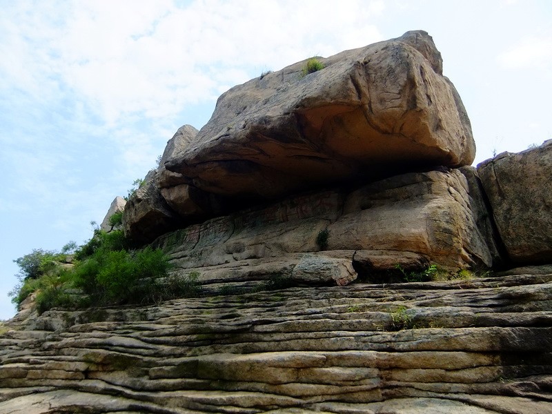 DSCF4396.jpg
