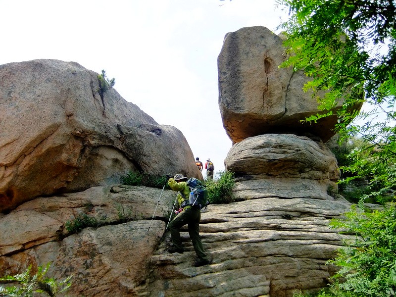 DSCF4404.jpg