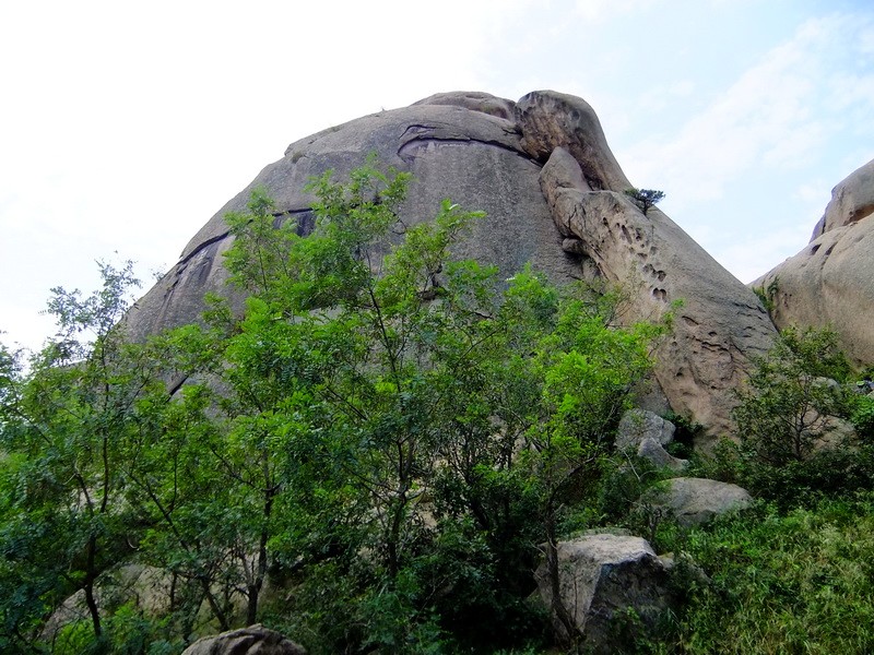 DSCF4420.jpg