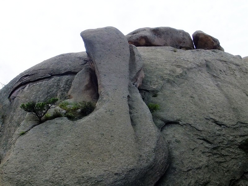 DSCF4422.jpg