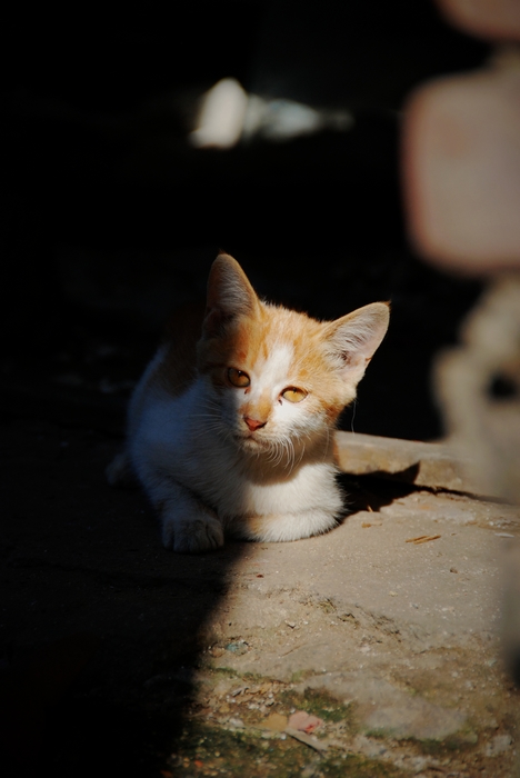 DSC_7591.jpg