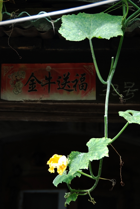 DSC_7679.jpg