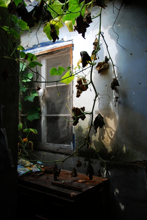 DSC_7676.jpg