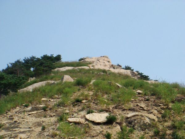 nEO_IMG_DSC05399.jpg