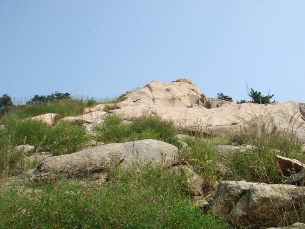 nEO_IMG_DSC05406.jpg