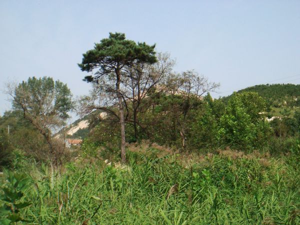 nEO_IMG_DSC05381.jpg