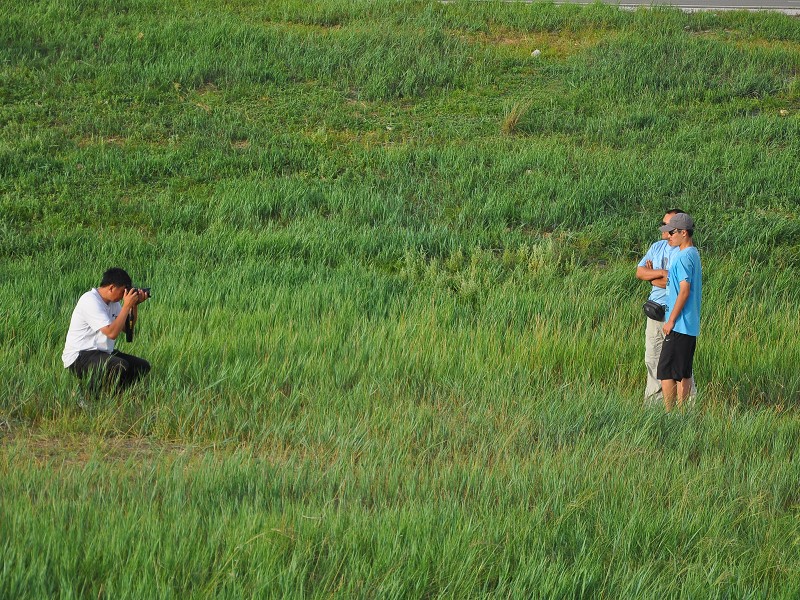 PhotoCap_721.jpg