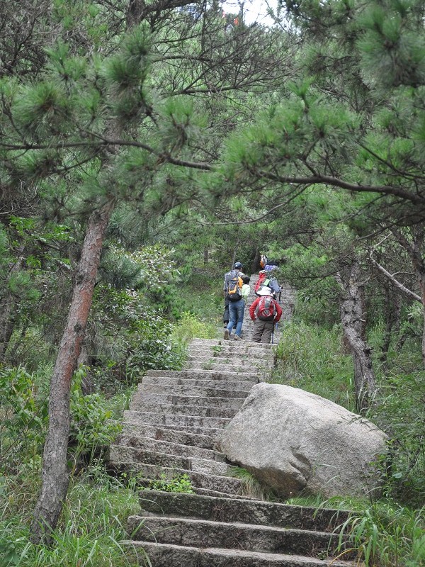 PhotoCap_297.jpg