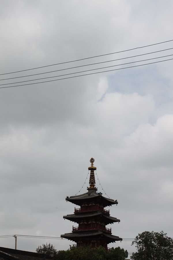 IMG_4256a.jpg
