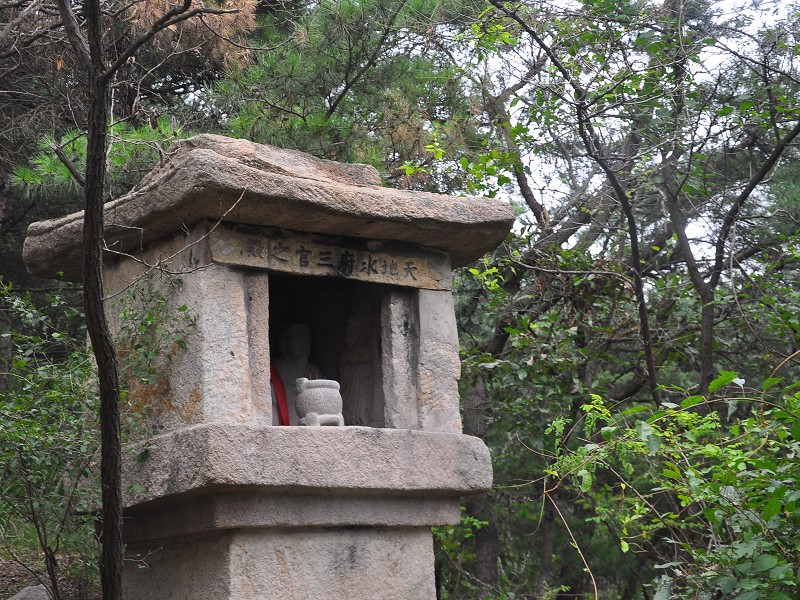 PhotoCap_432.jpg