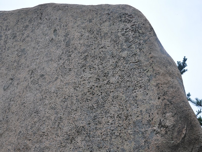PhotoCap_443.jpg