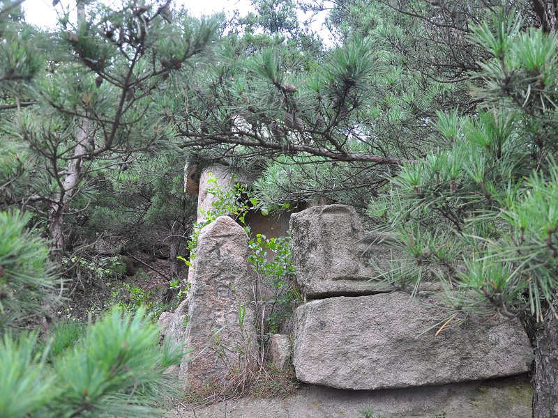 PhotoCap_039.jpg
