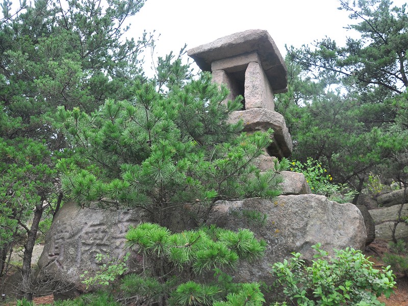 PhotoCap_033.jpg