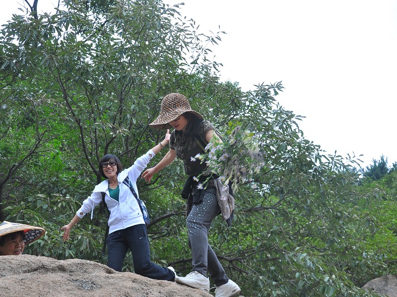 PhotoCap_049.jpg