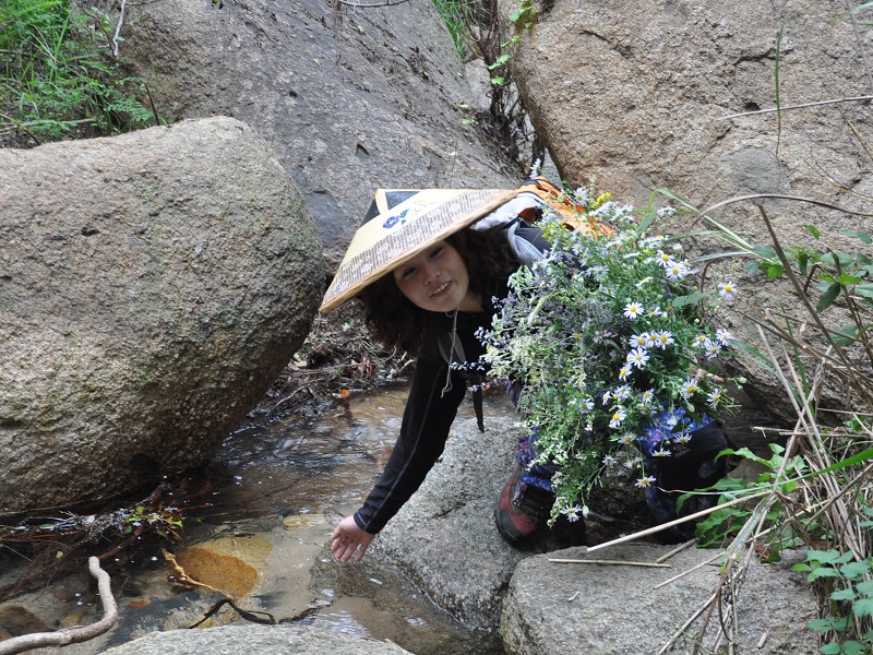 PhotoCap_072.jpg