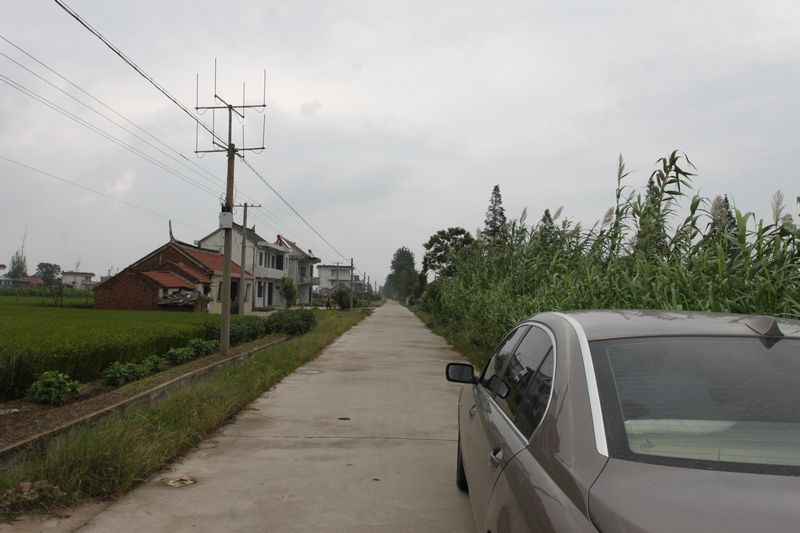 乡间马路，虽已硬化，确无车水马龙