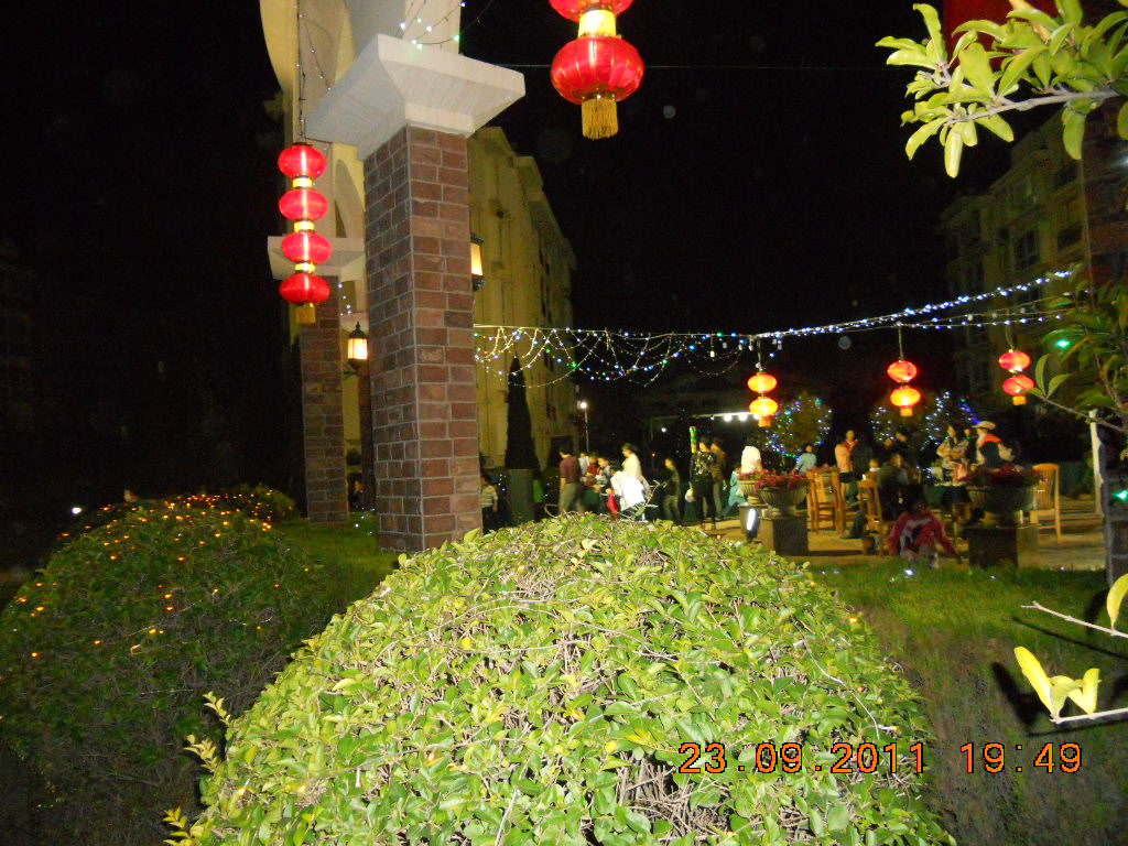我的美丽家院 082.jpg