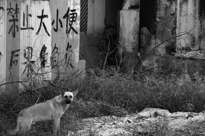 禁.jpg