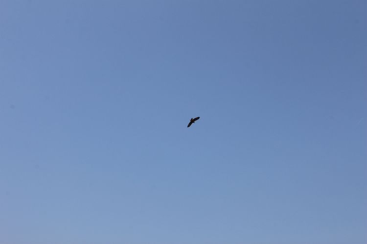 IMG_4905.JPG